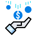 cash icon