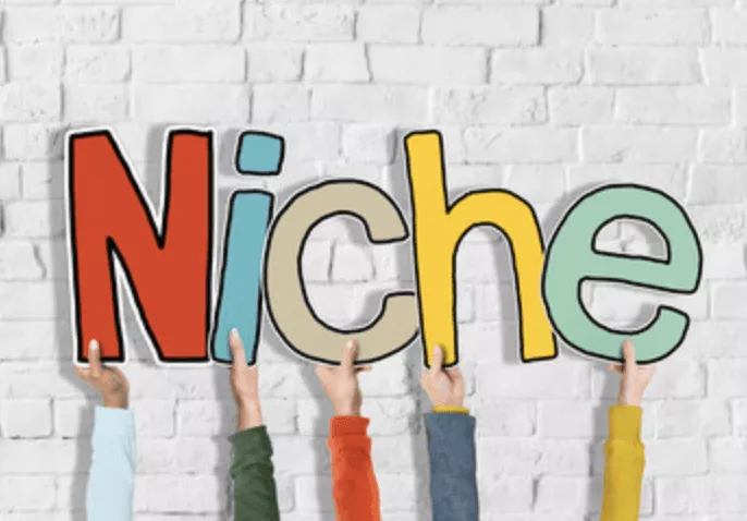 Choosing a niche