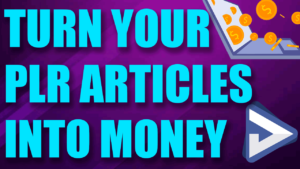 Make Money With PLR Articles