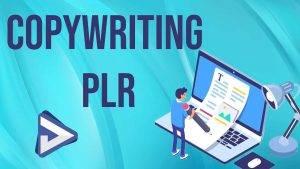 copywriting plr