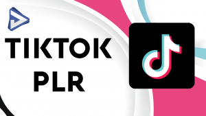 tiktok plr