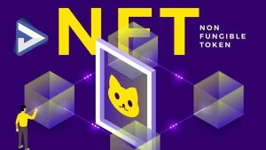 NFTs PLR