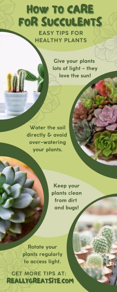 green themed infographic