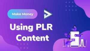 Using PLR Content
