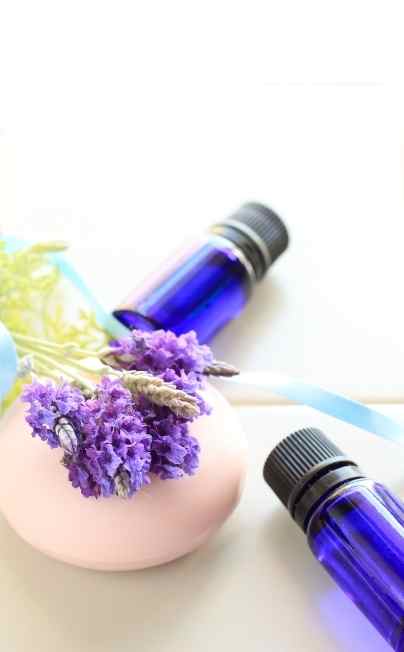 new lavendar oil