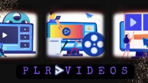 PLR Videos