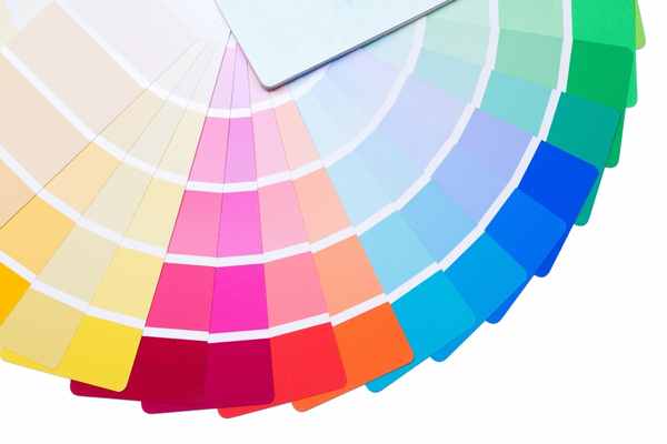 color palette