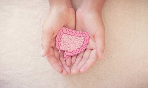gut health