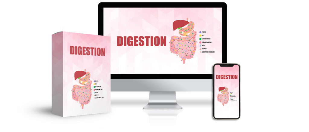 Digestion